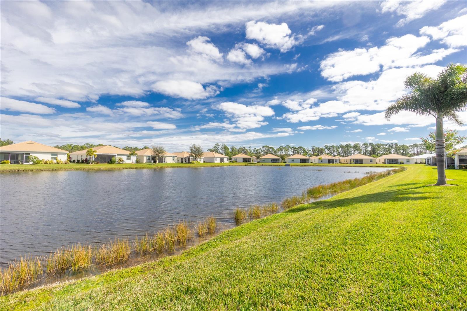 6288 GRAND CYPRESS BLVD — photo 50