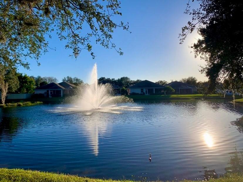 6288 GRAND CYPRESS BLVD — photo 59