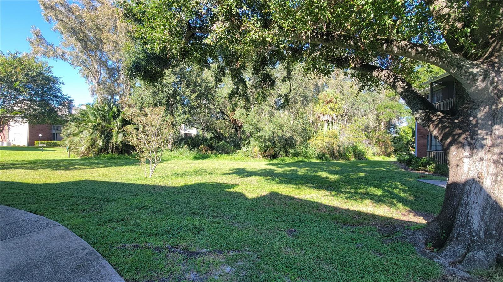 9100 DR MARTIN LUTHER KING JR ST N #206 — photo 29