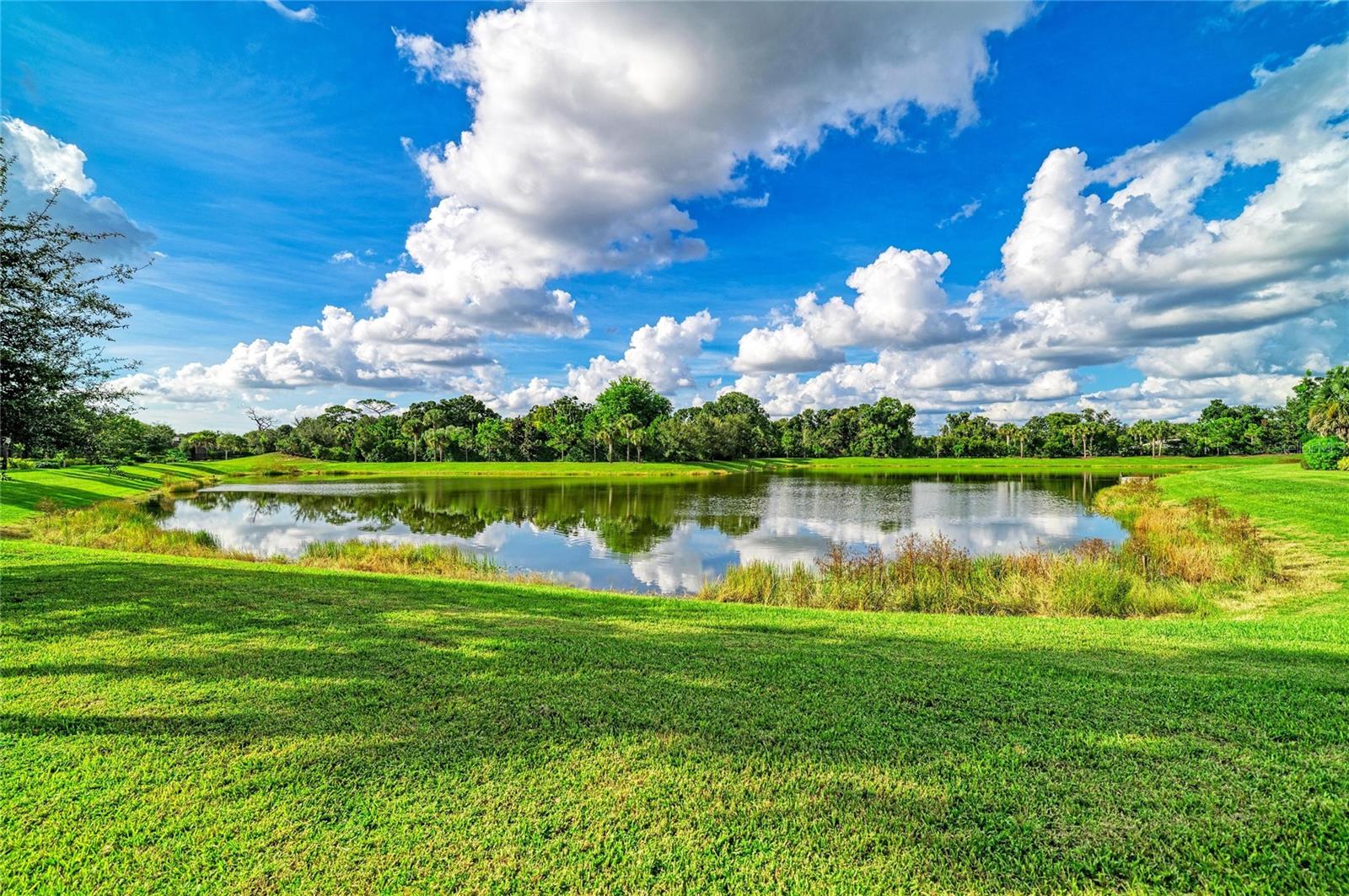 6185 LUNGO LAGO DR — photo 60