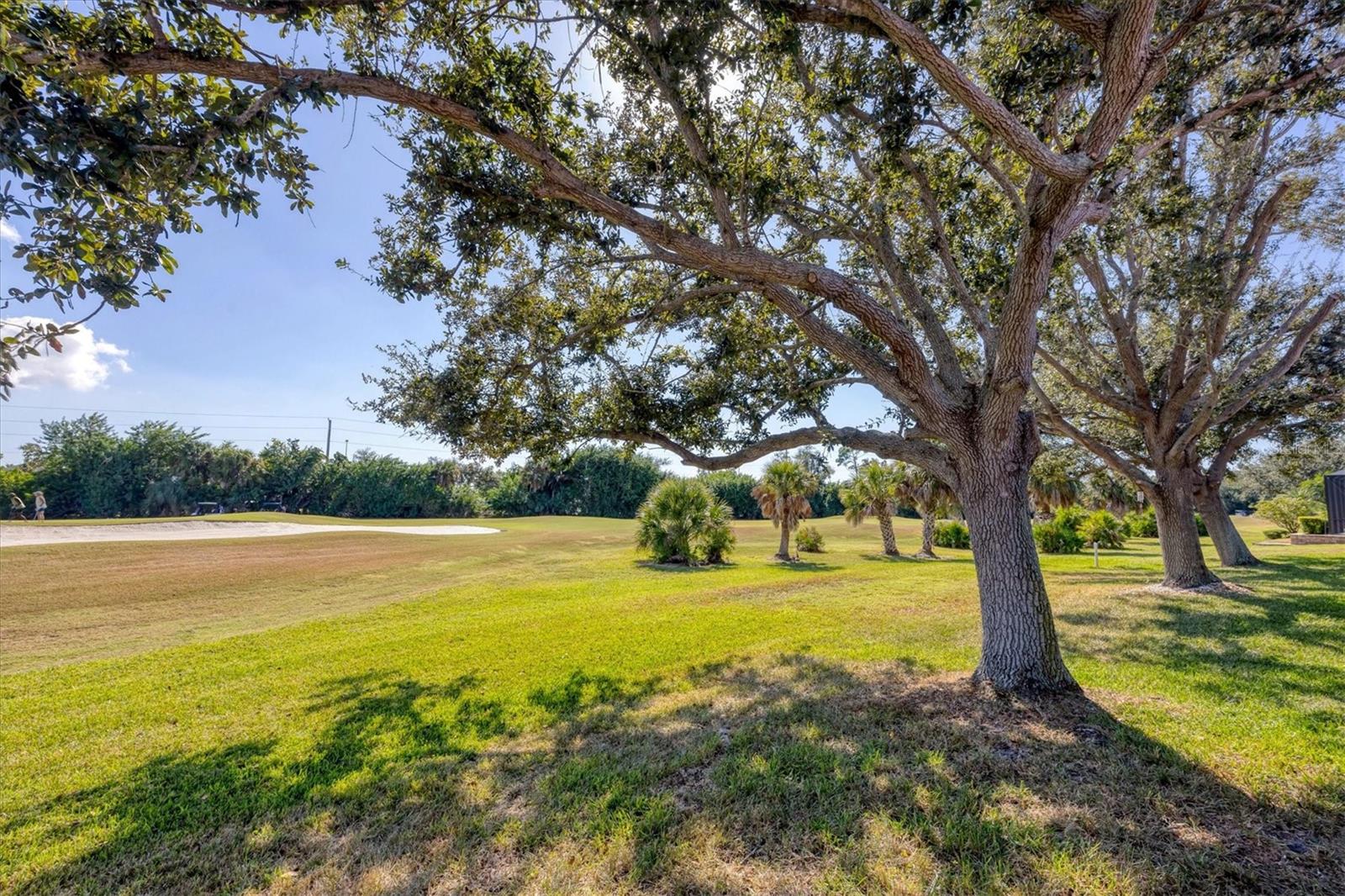 446 PINEWOOD LAKE DR — photo 30