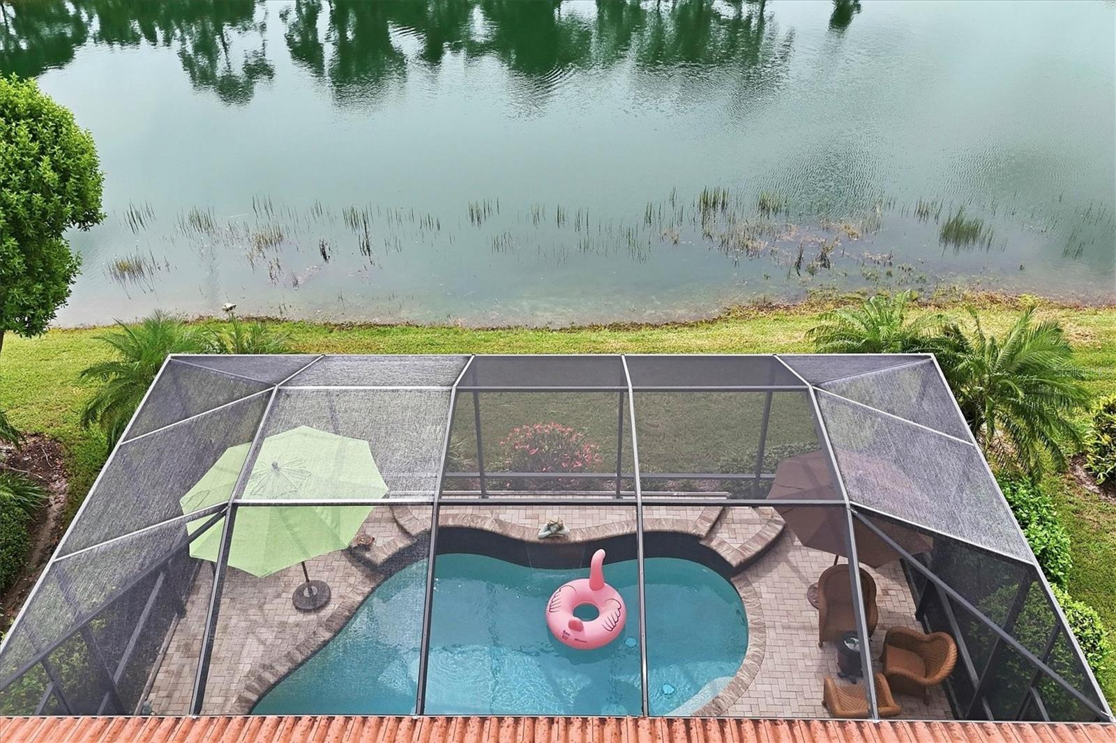10441 CROOKED CREEK DR — photo 22
