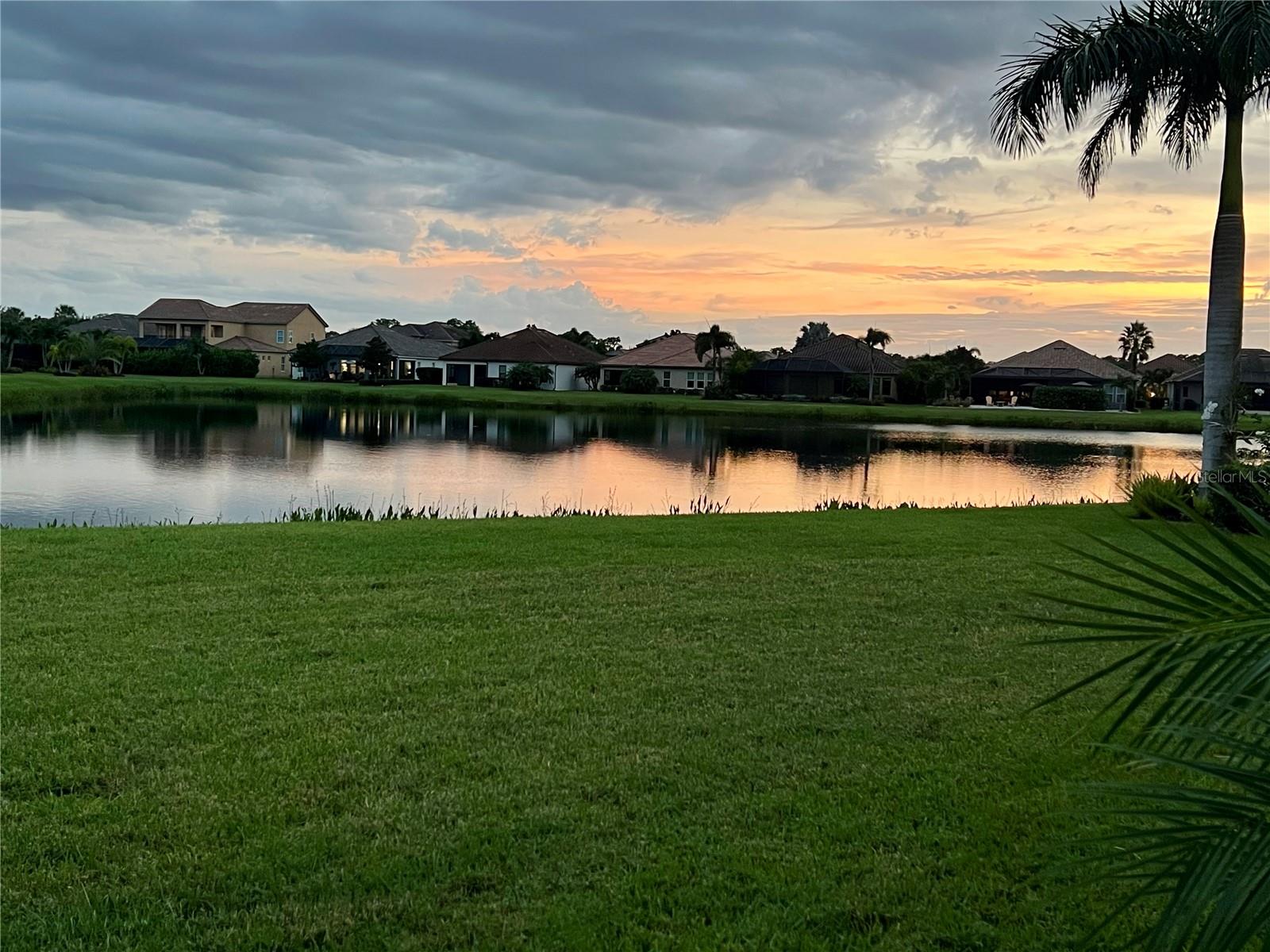 10018 MARBELLA DR — photo 3