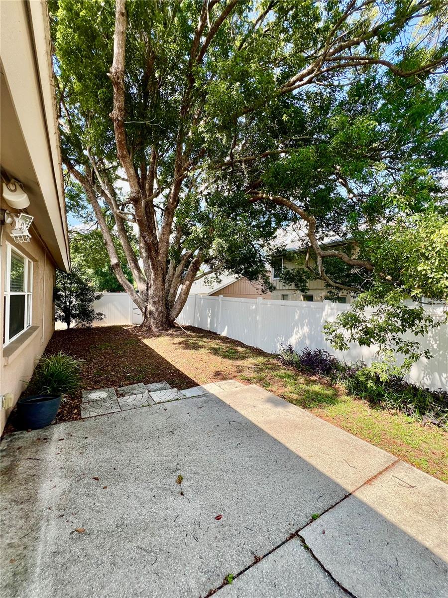 2413 NEEDHAM DR — photo 29
