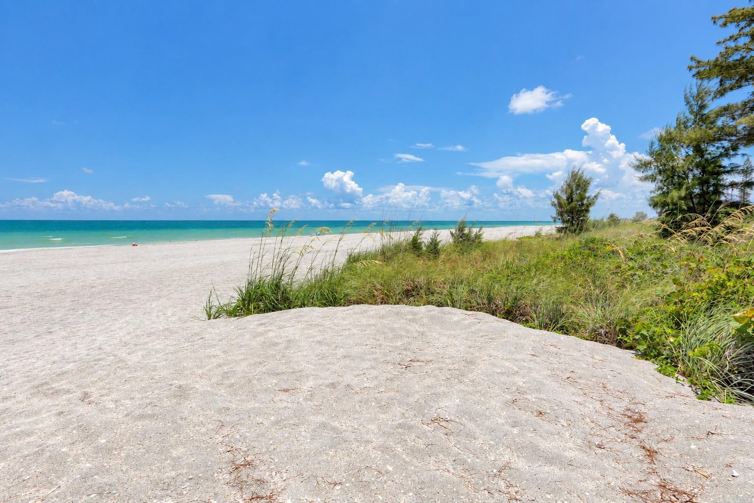 324 BEACH RD — photo 28