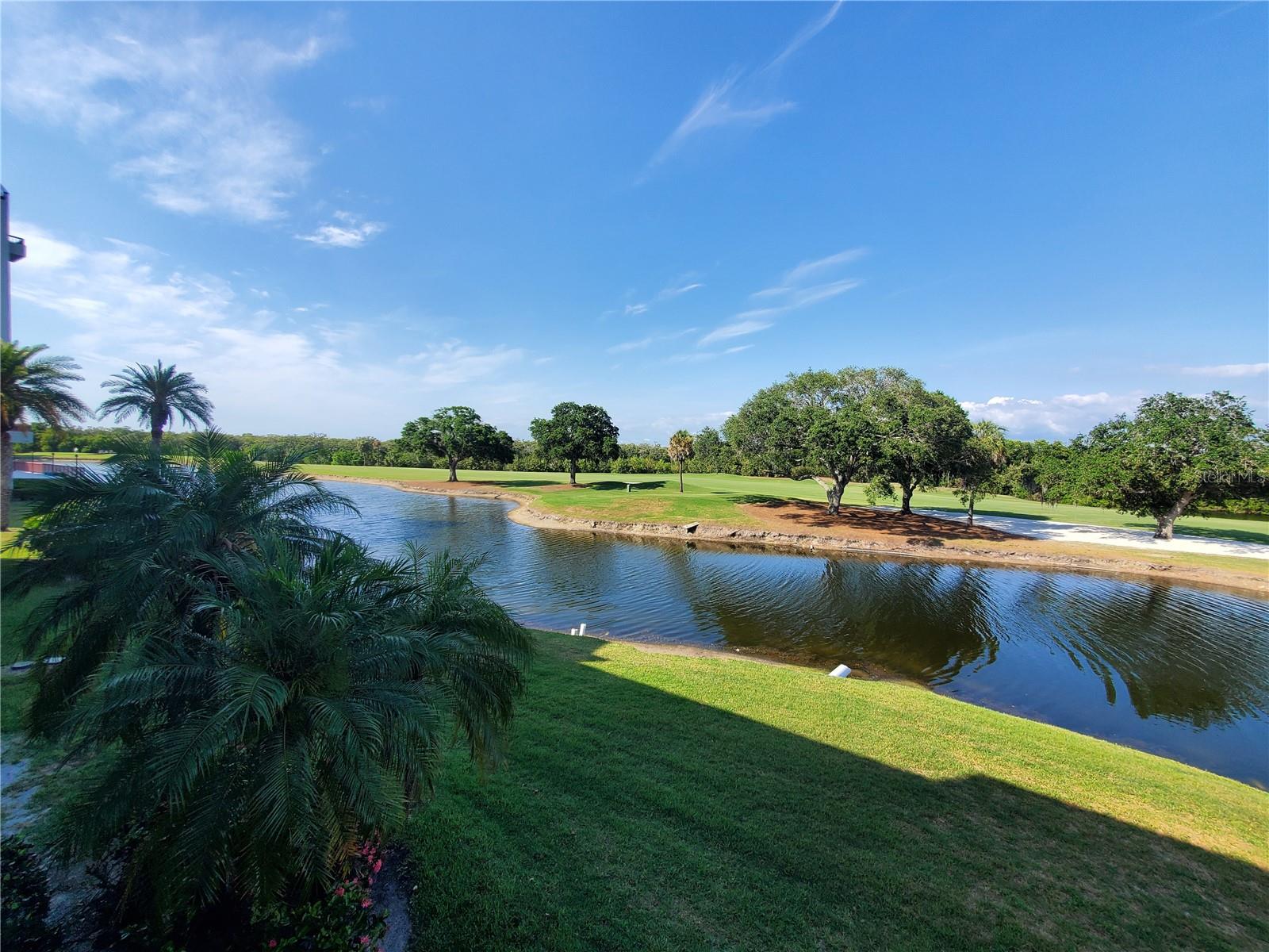 2323 FEATHER SOUND DR #205 — photo 26