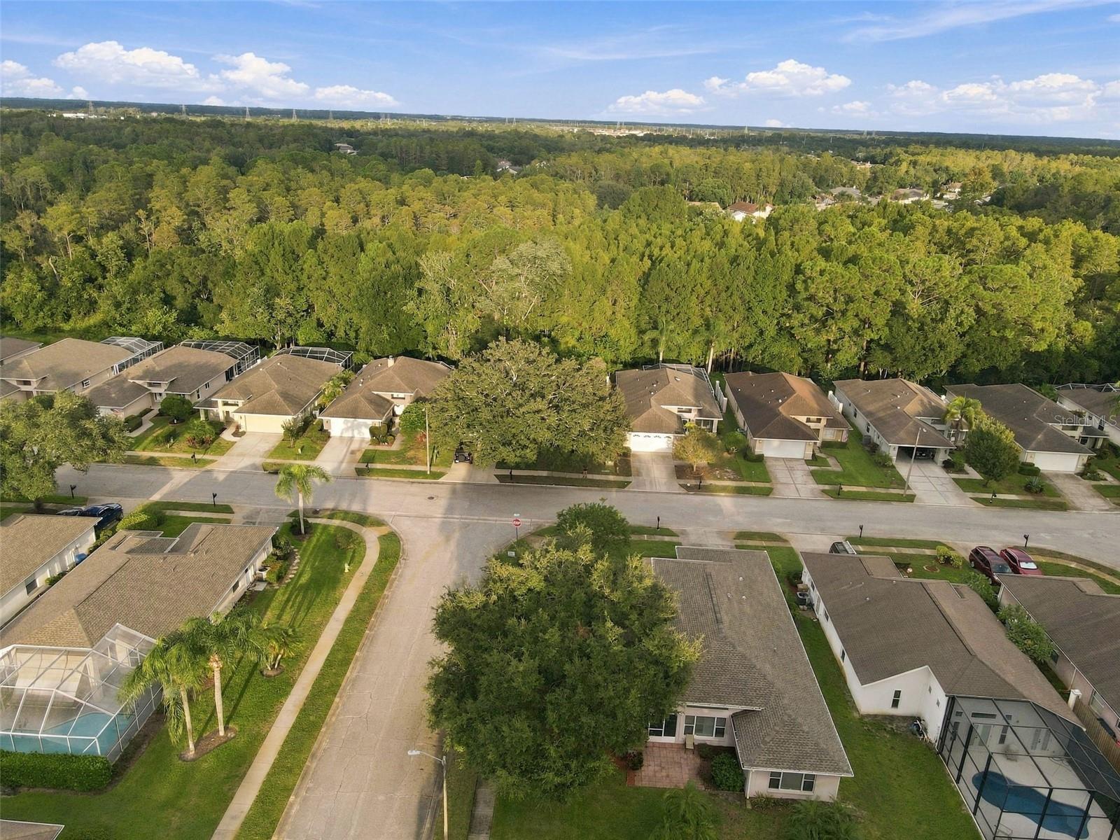 1411 STROUD CT — photo 45