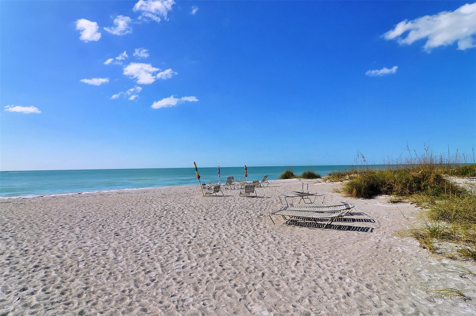4525 GULF OF MEXICO DR #204 — photo 38