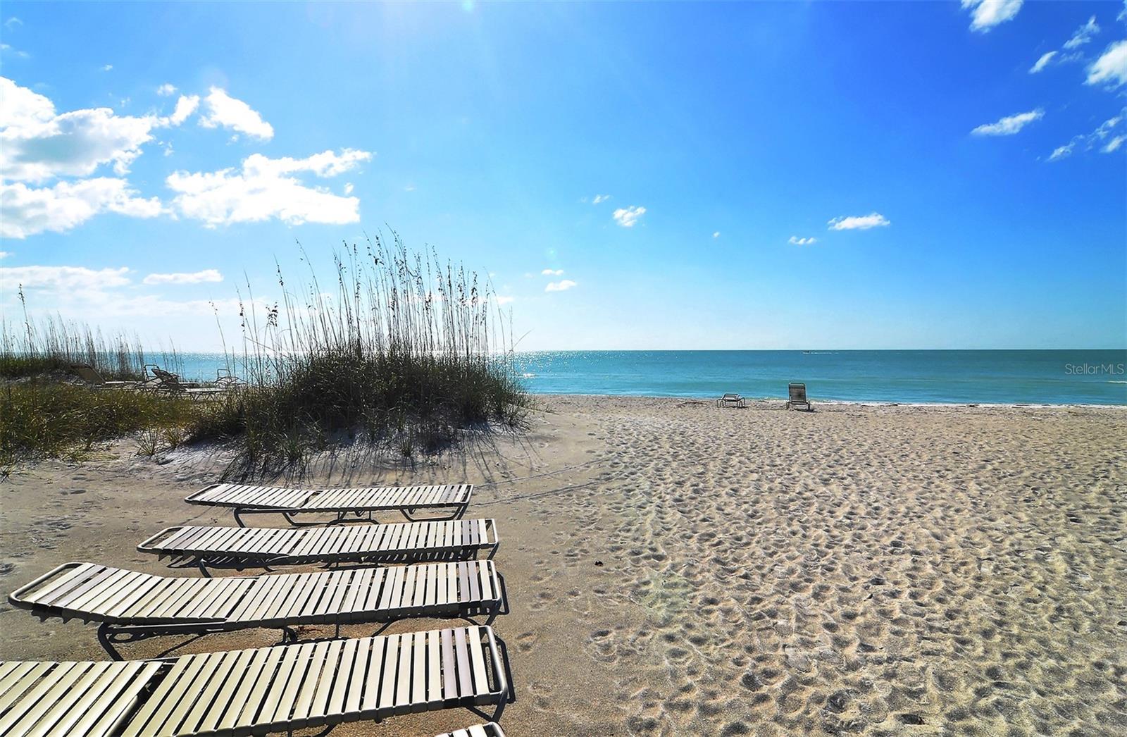 4525 GULF OF MEXICO DR #204 — photo 37