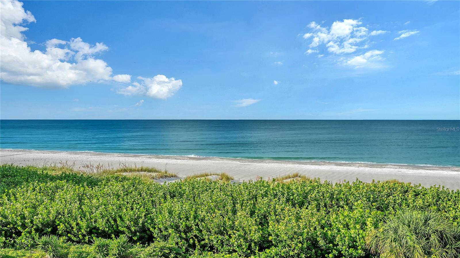 4525 GULF OF MEXICO DR #204 — photo 19