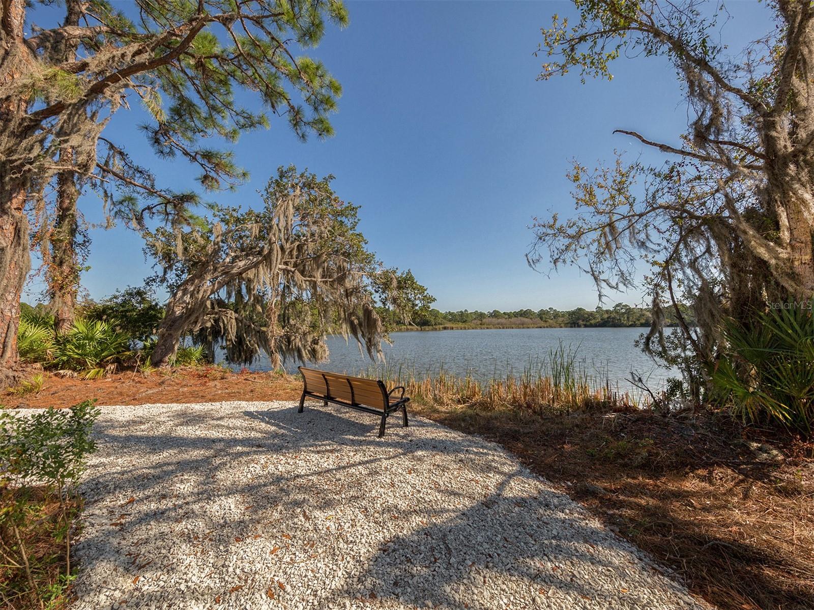 11666 PARROTFISH ST — photo 41