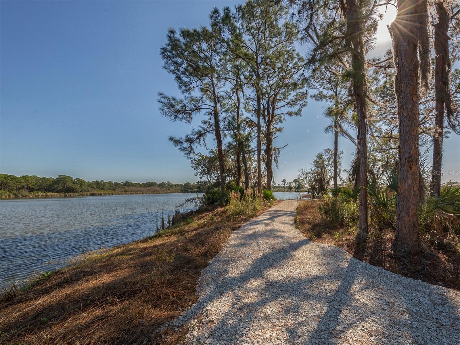 11666 PARROTFISH ST — photo 40