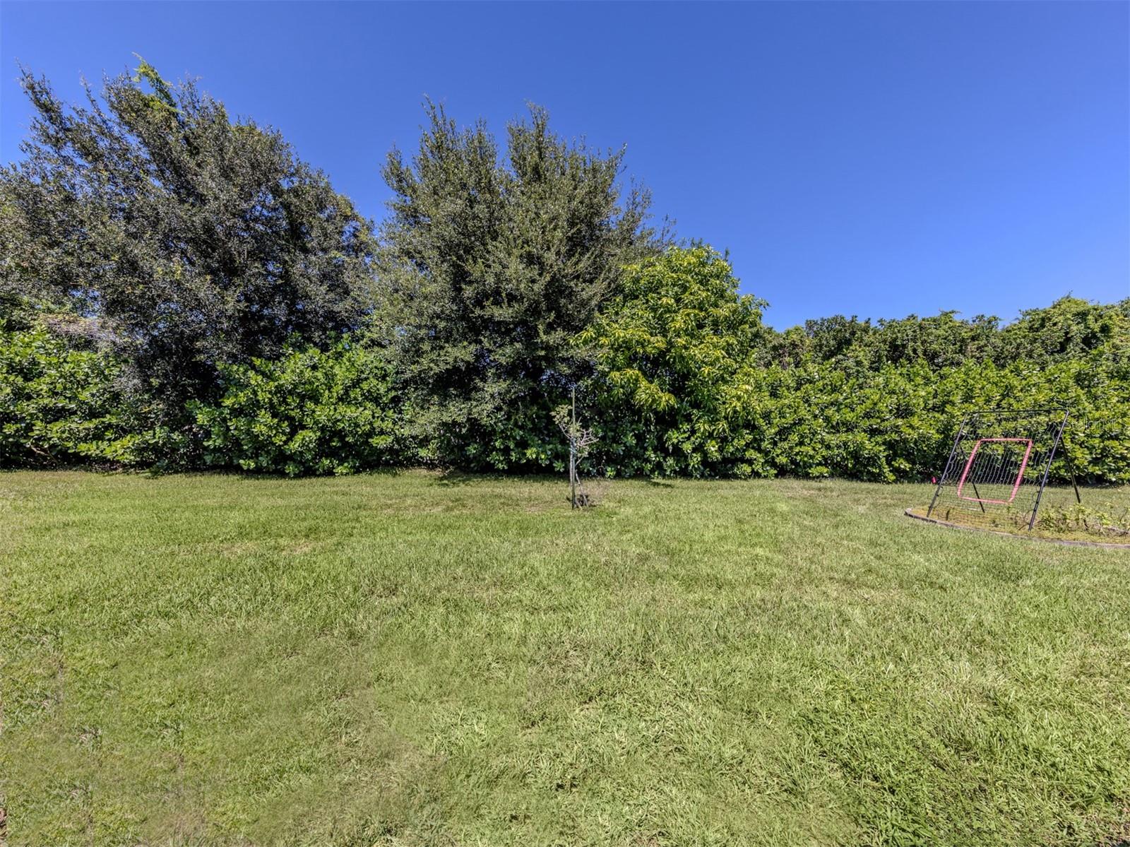 11666 PARROTFISH ST — photo 28
