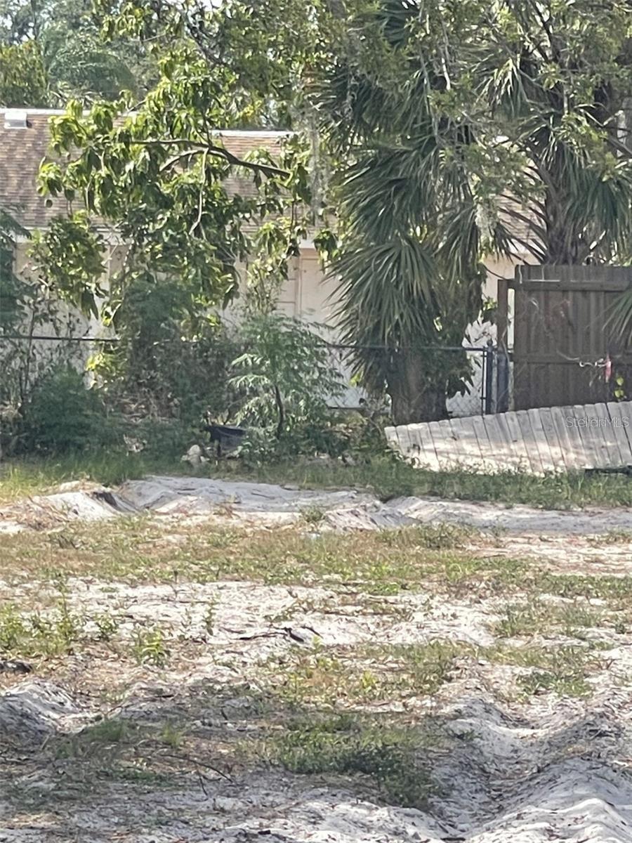 JUNGLE WAY — photo 2