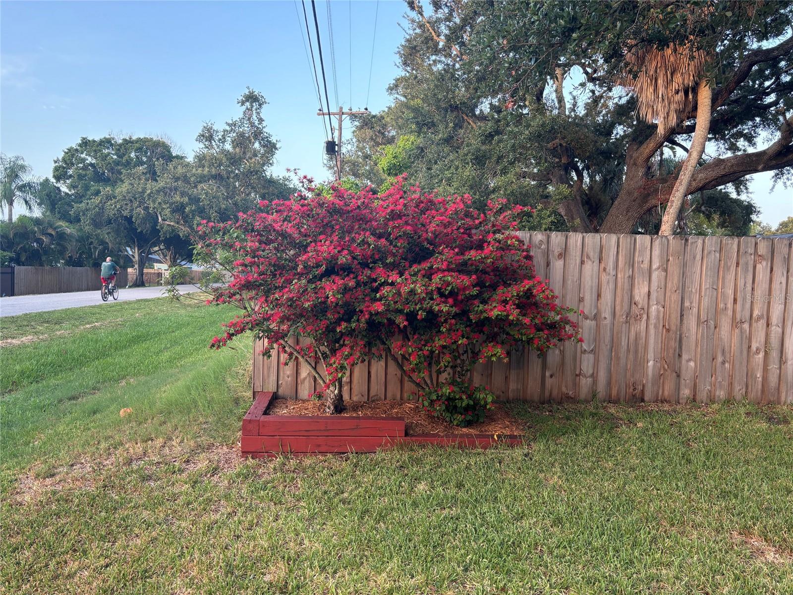 1843 PASADENA DR — photo 41