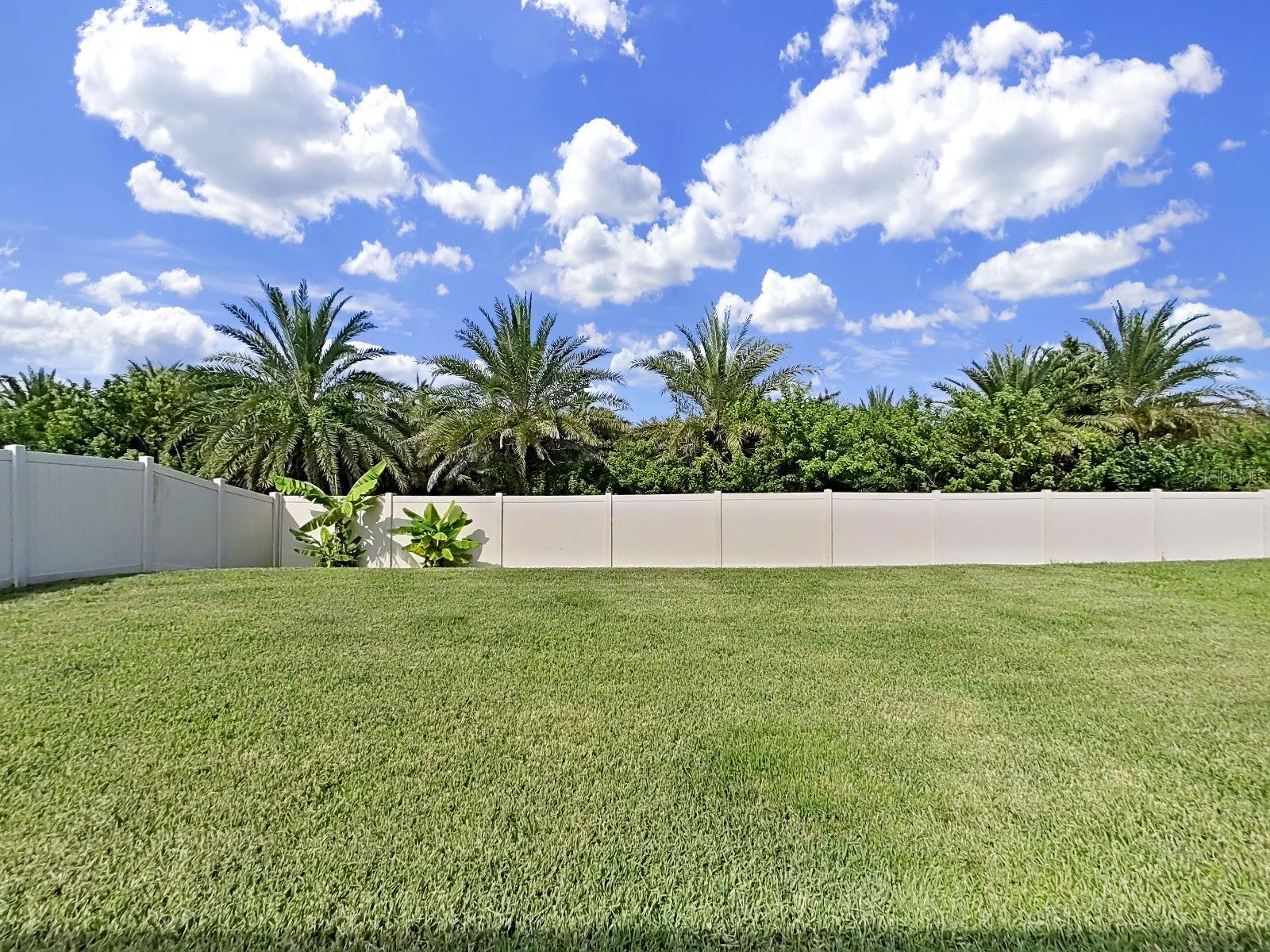 5037 WHITE CHICORY DR — photo 35