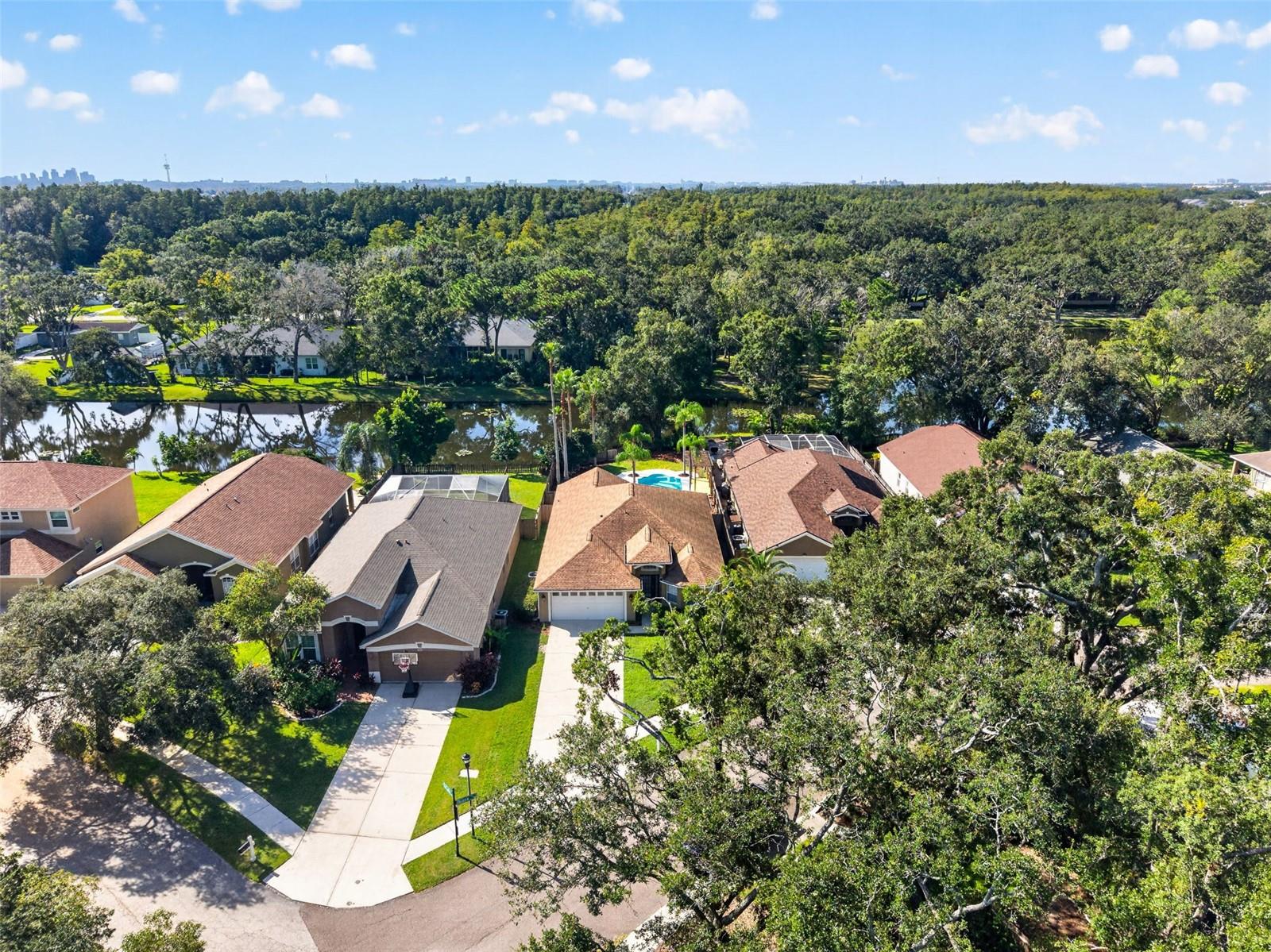 4602 DUNNIE DR — photo 48