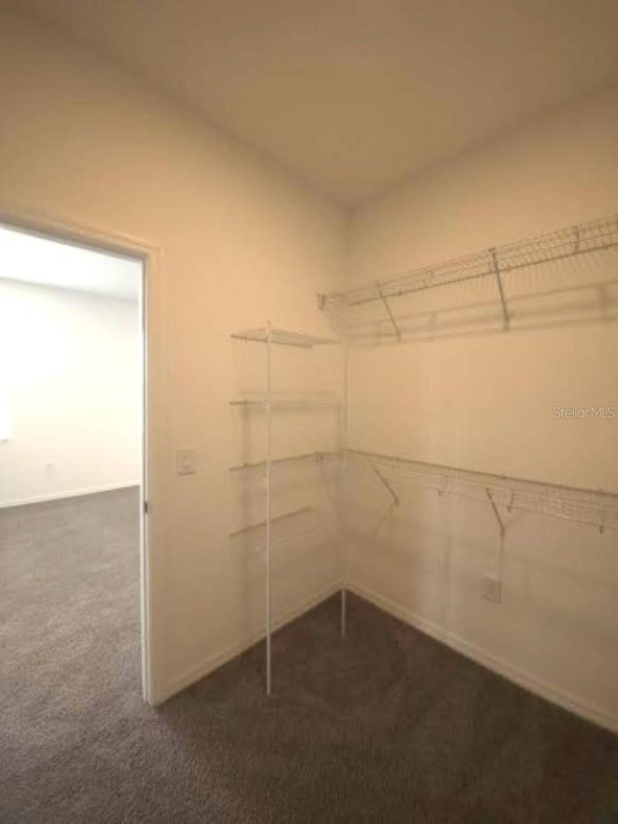 10715 NEW MORNING DR — photo 17