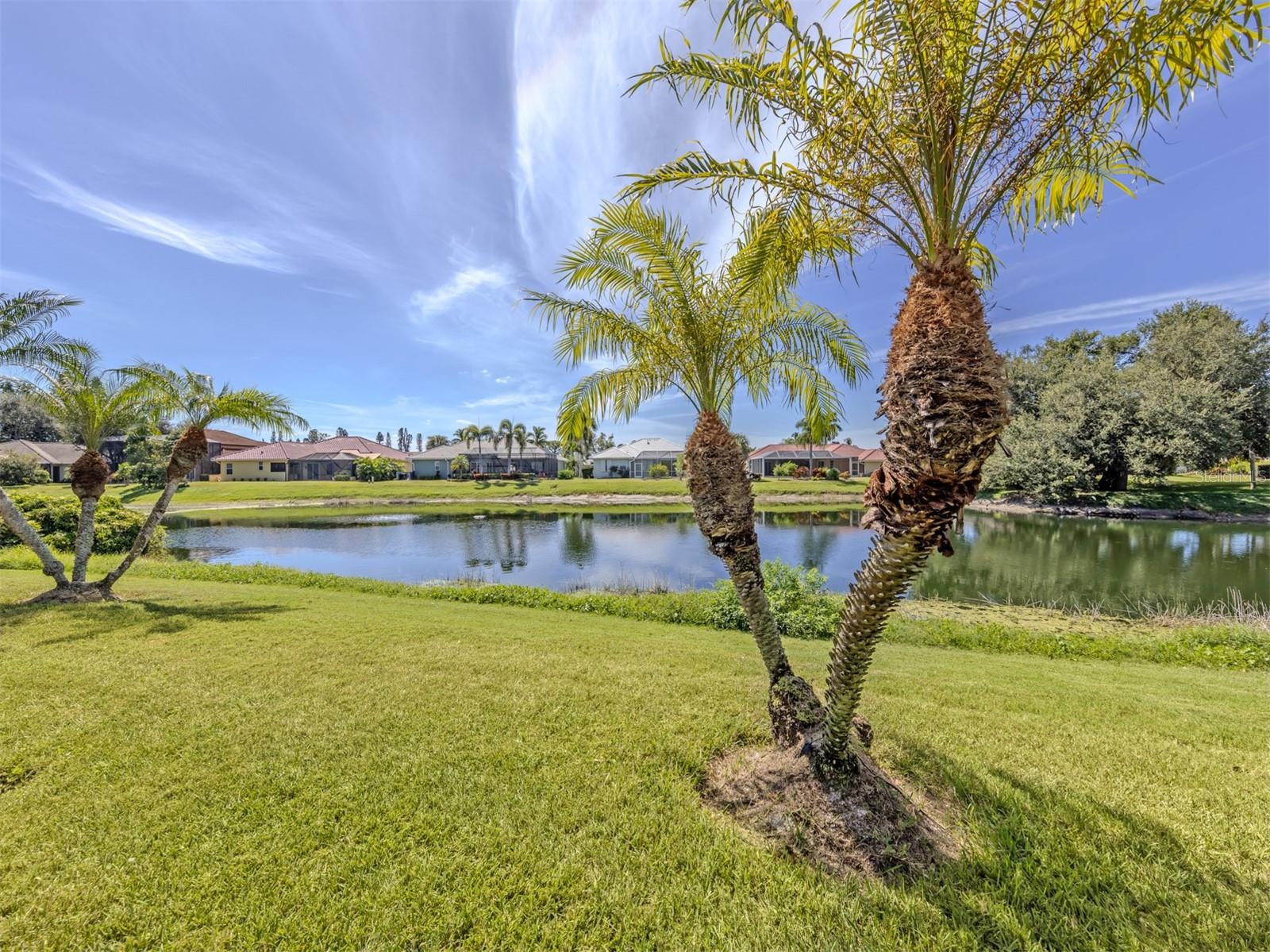 915 BALL DR — photo 31