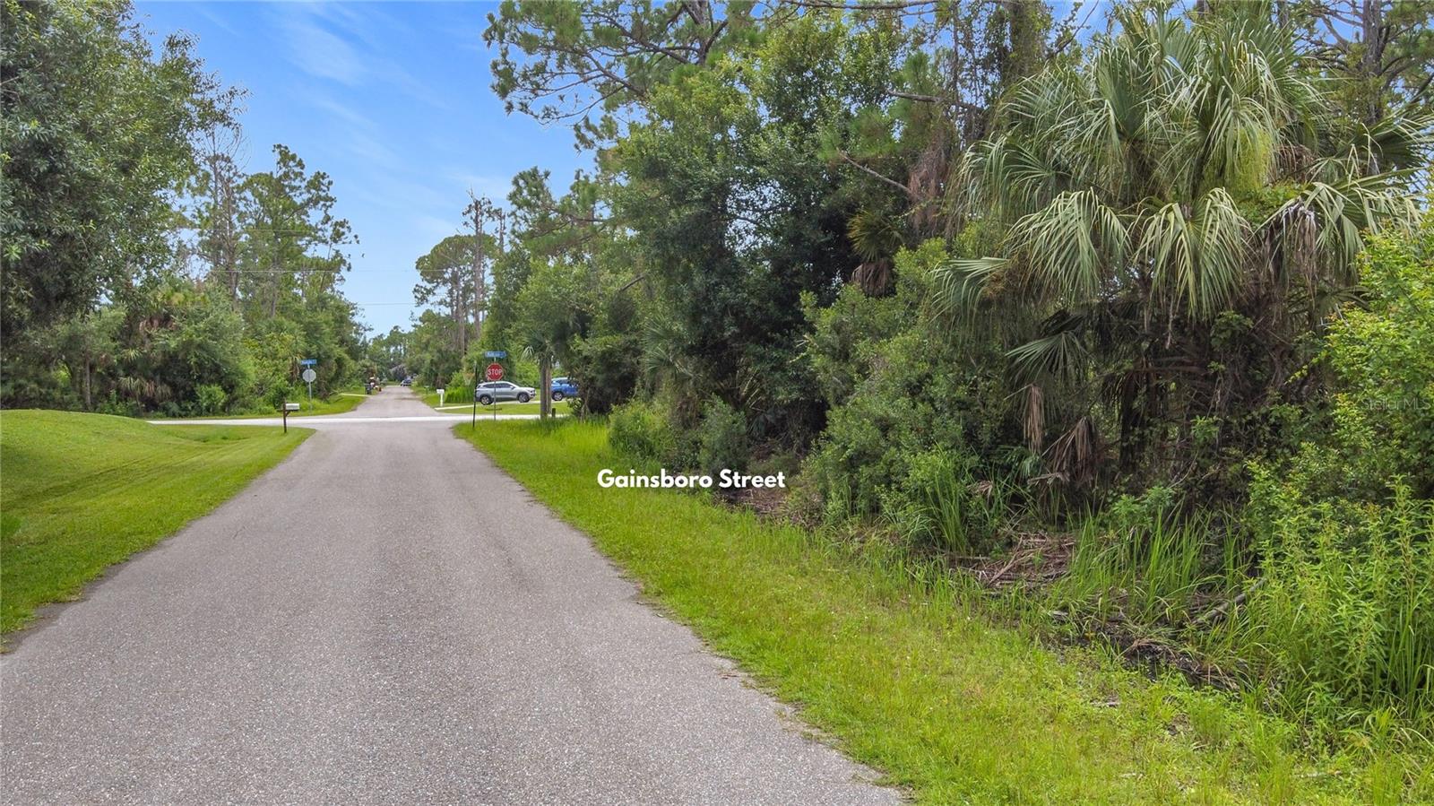 0 GAINSBORO ST — photo 11