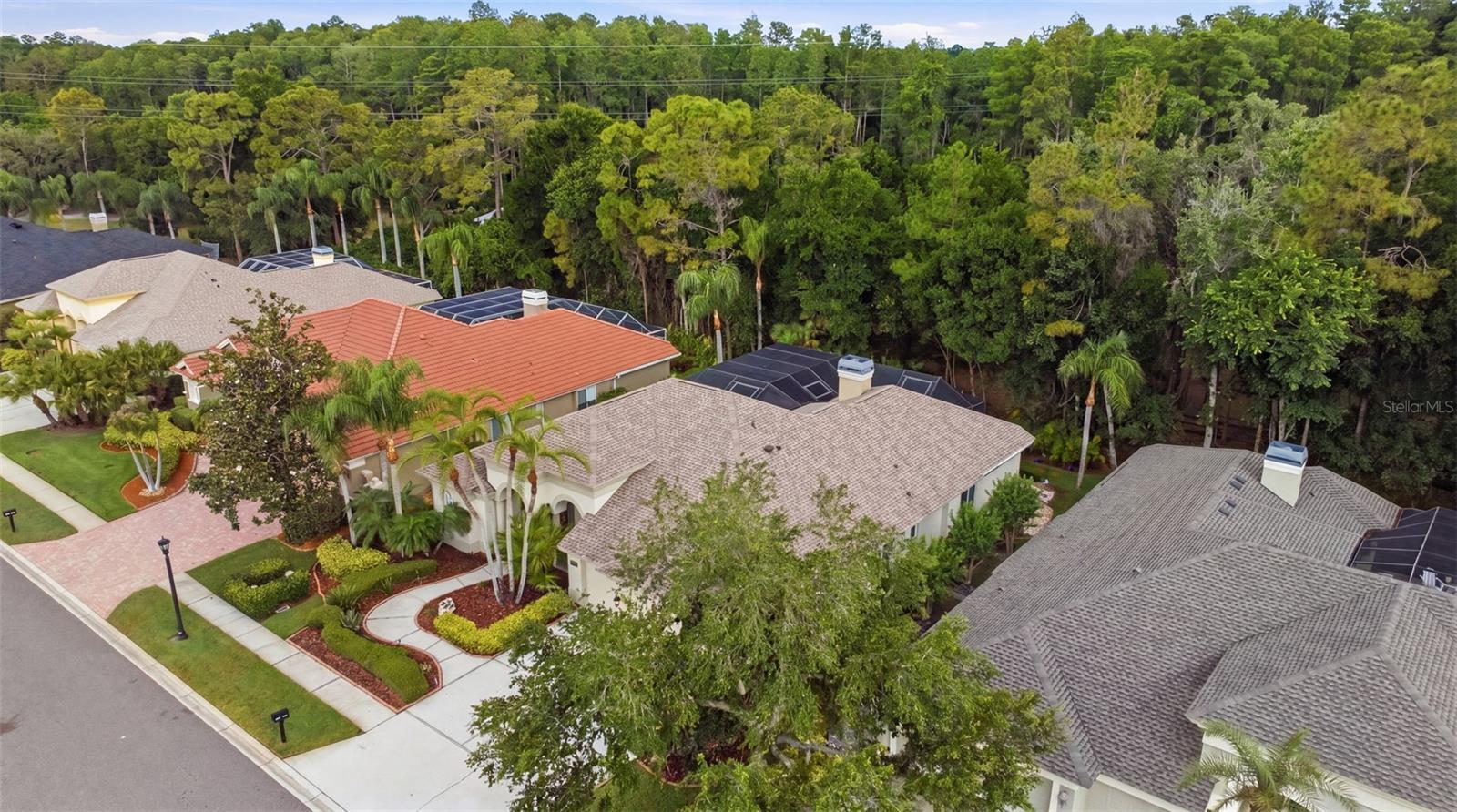 2887 GREY OAKS BLVD — photo 64