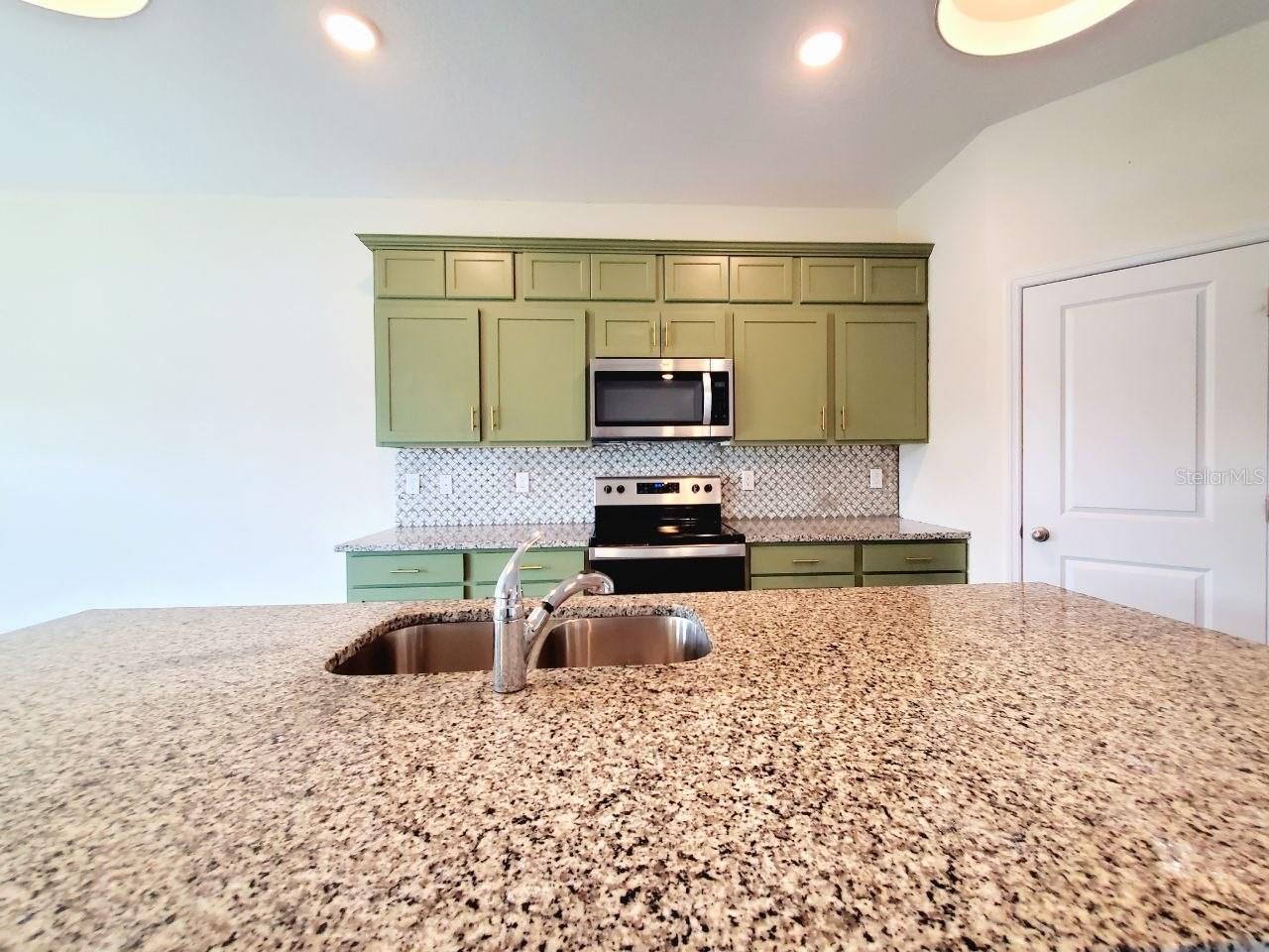 35813 BUTTONWEED TRL — photo 7