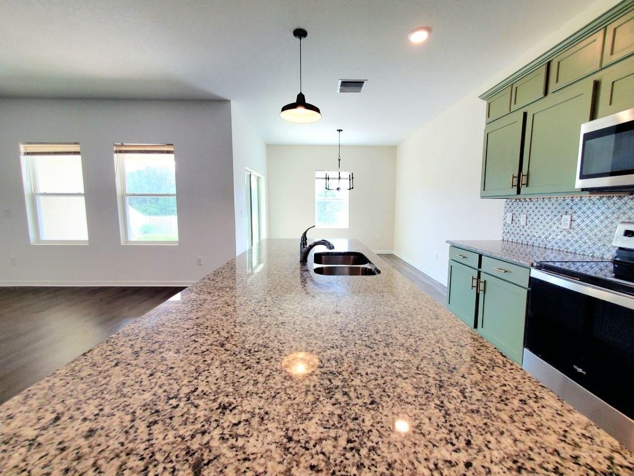 35813 BUTTONWEED TRL — photo 5