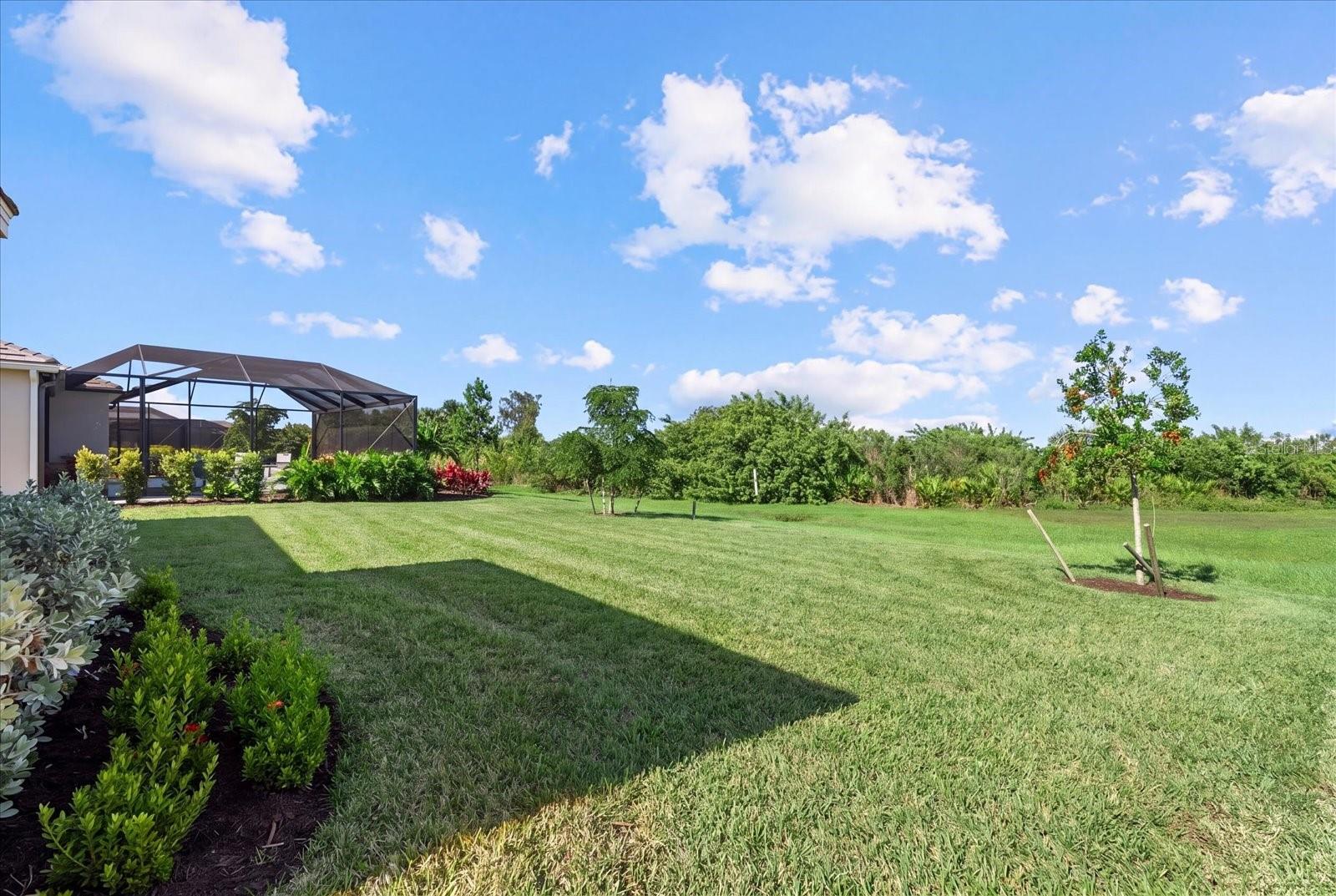 17602 SANTORINI CT — photo 36