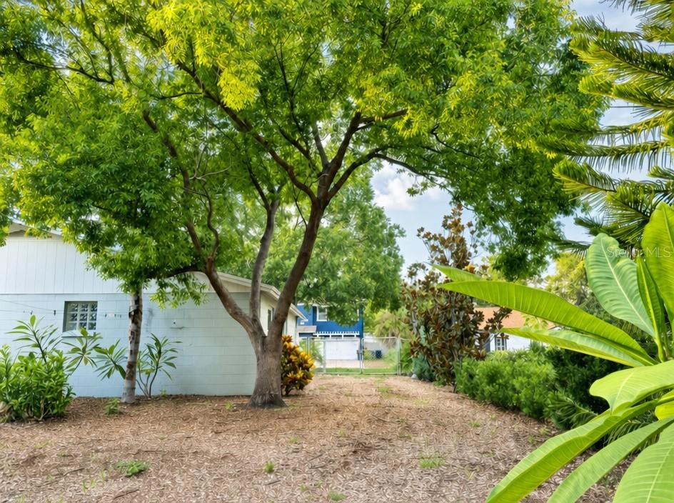 2840 W SHELTON AVE — photo 21