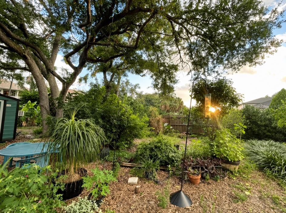 2840 W SHELTON AVE — photo 18