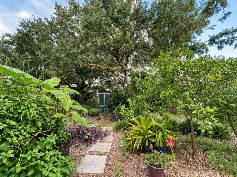 2840 W SHELTON AVE — photo 17