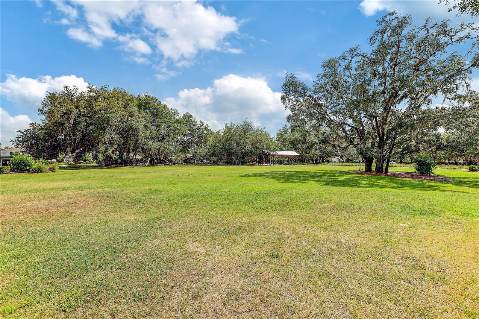 4000 BURDICK LOOP — photo 74
