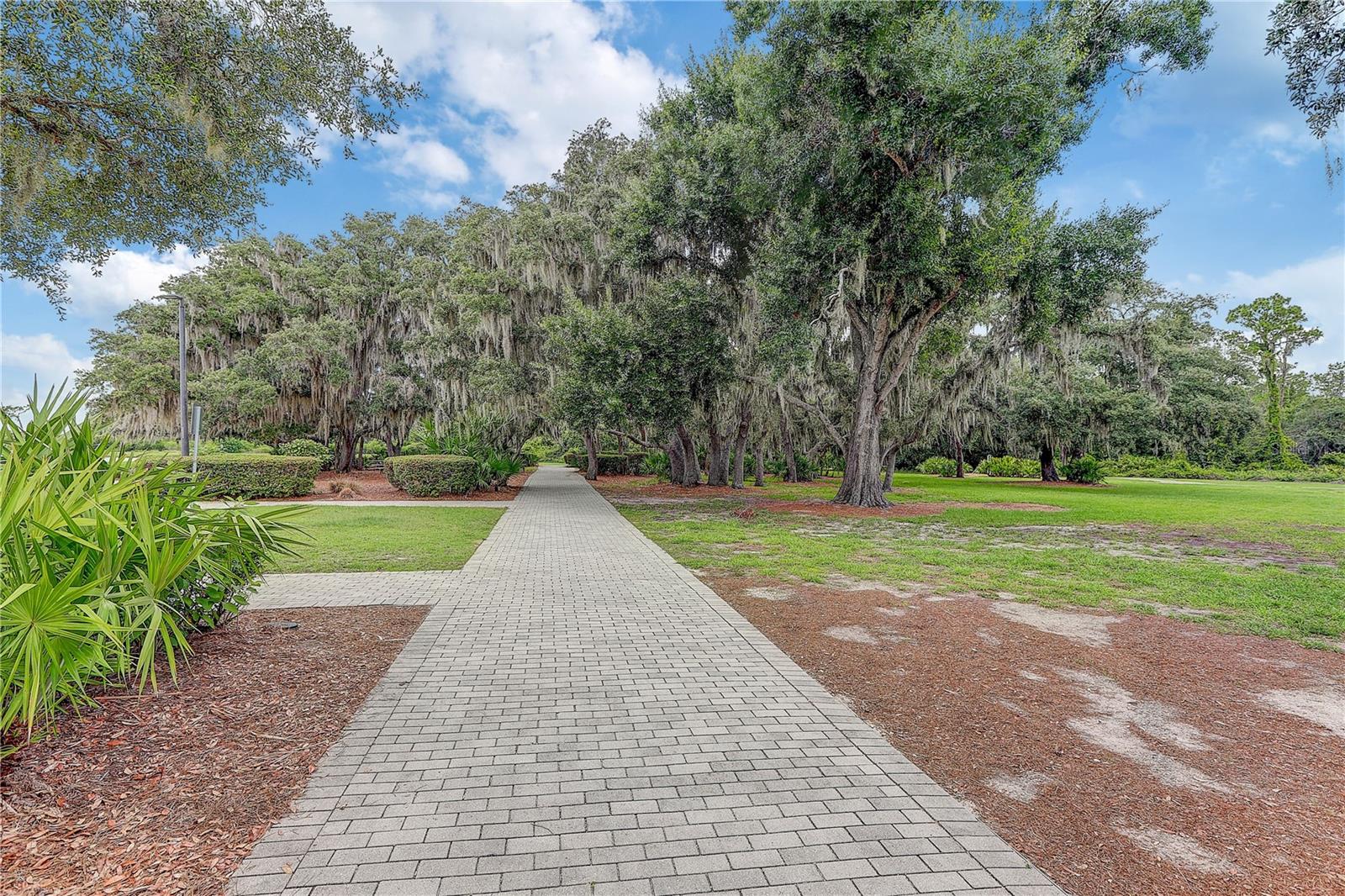 4000 BURDICK LOOP — photo 61