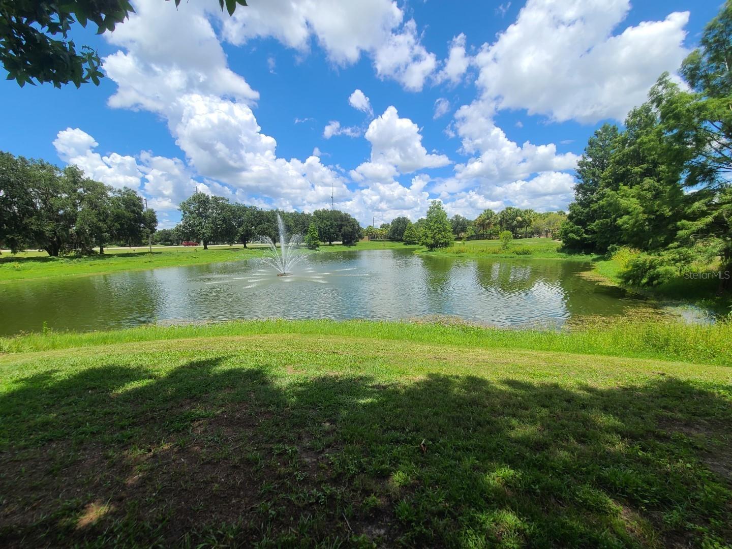 36122 LAKE CHASE BLVD #203 — photo 50