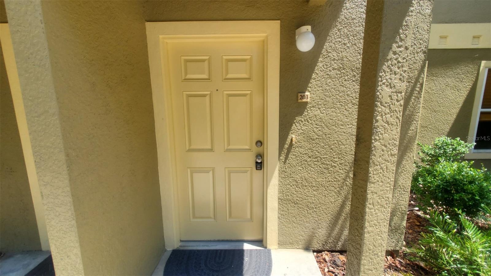 36122 LAKE CHASE BLVD #203 — photo 2