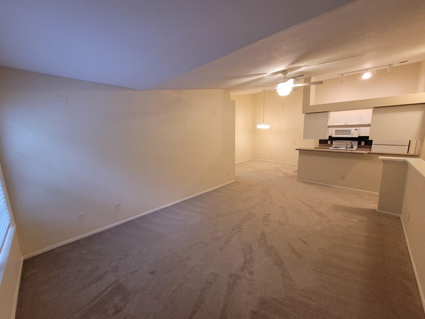 36122 LAKE CHASE BLVD #203 — photo 9