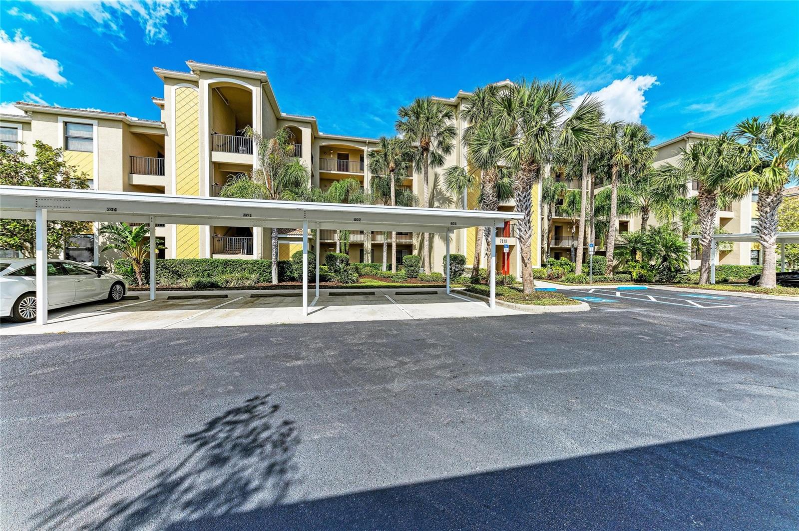 7019 RIVER HAMMOCK DR #202 — photo 4