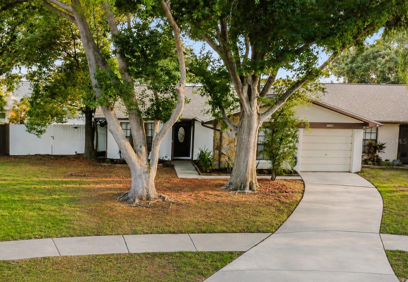 2031 DOVER CT — photo 4