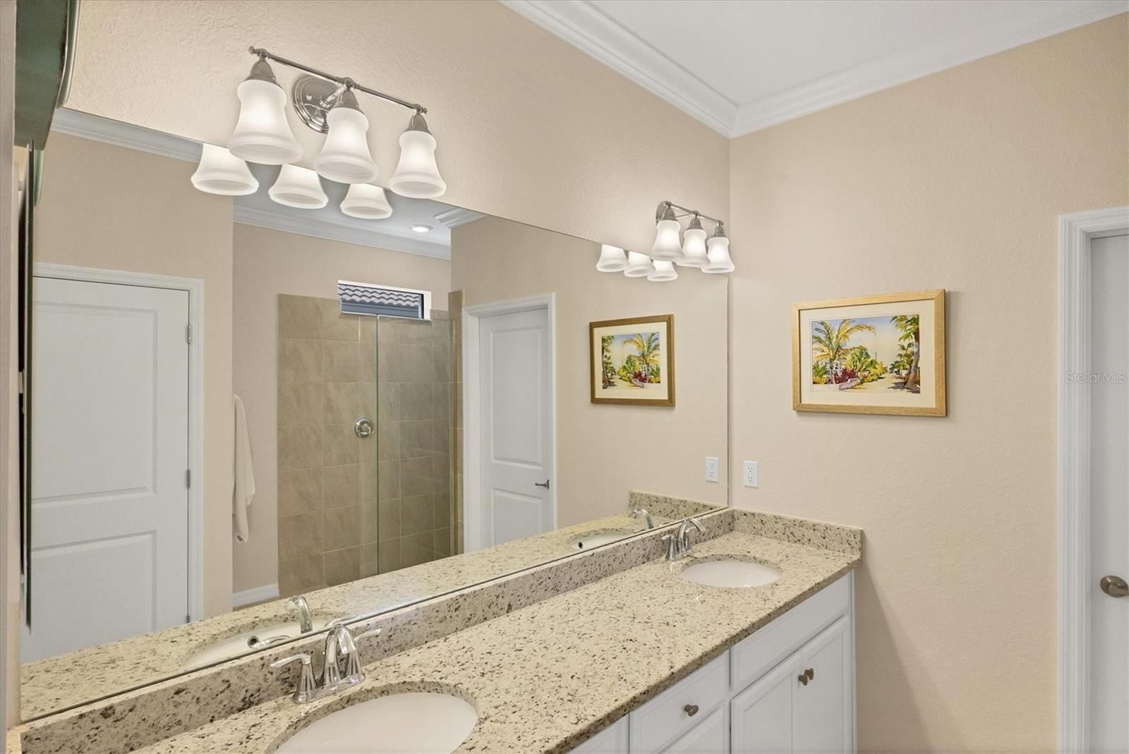 24193 SPARTINA DR — photo 51