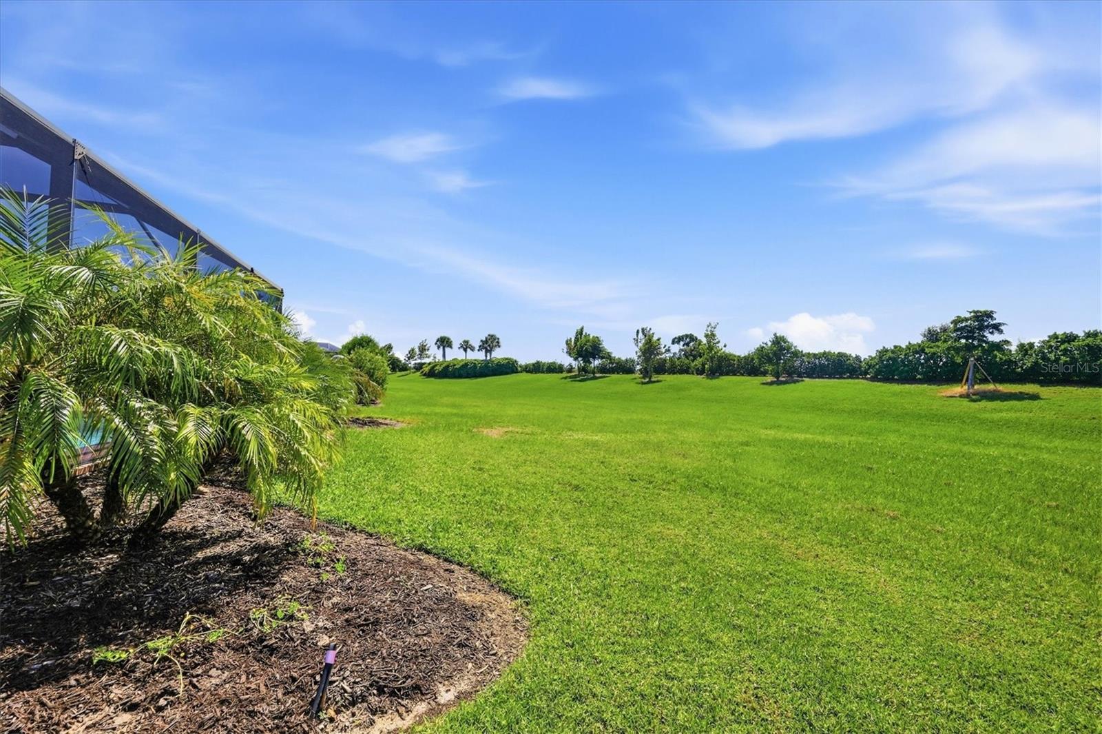 24193 SPARTINA DR — photo 21