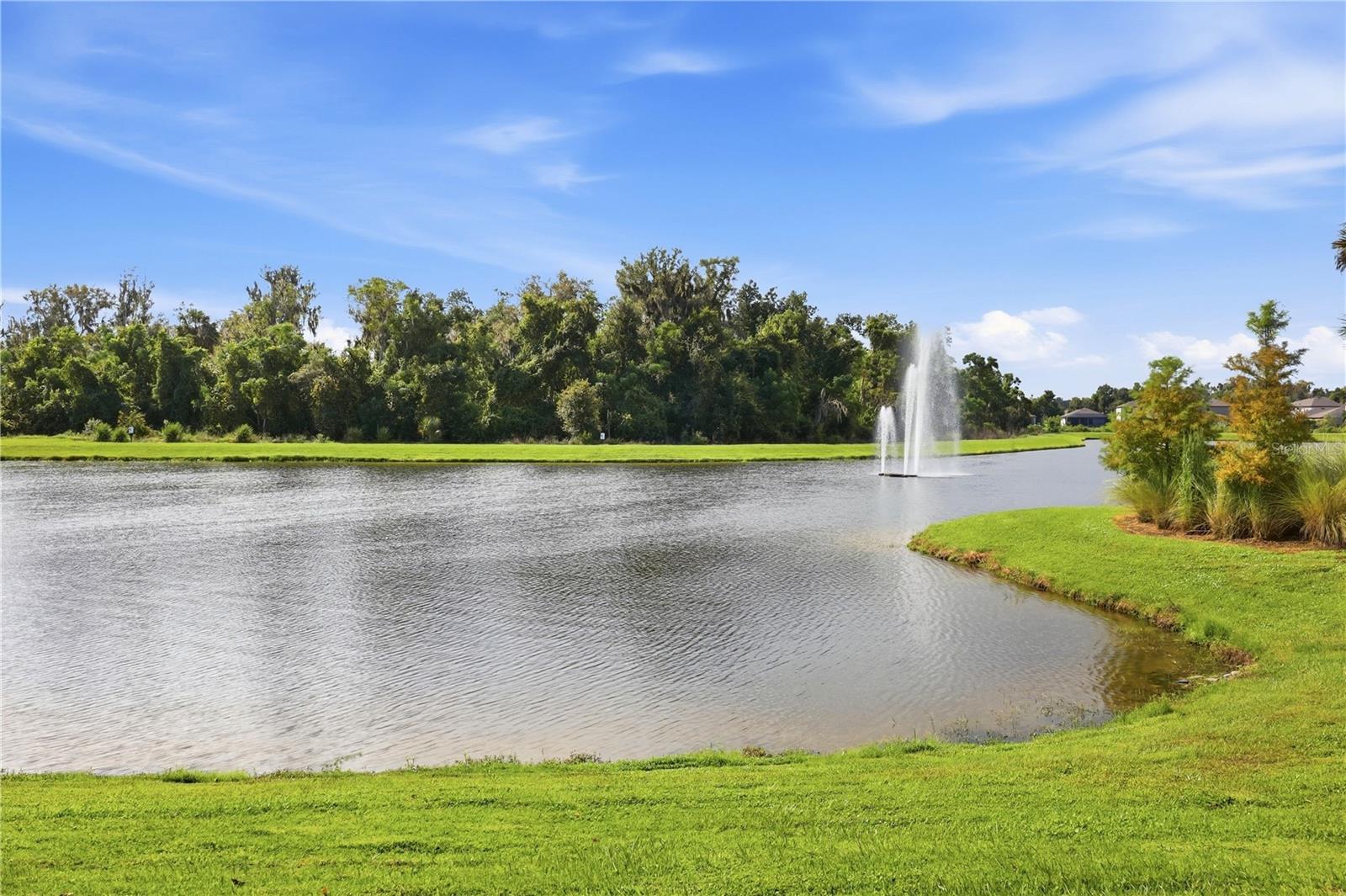 12594 OAK HILL WAY — photo 35