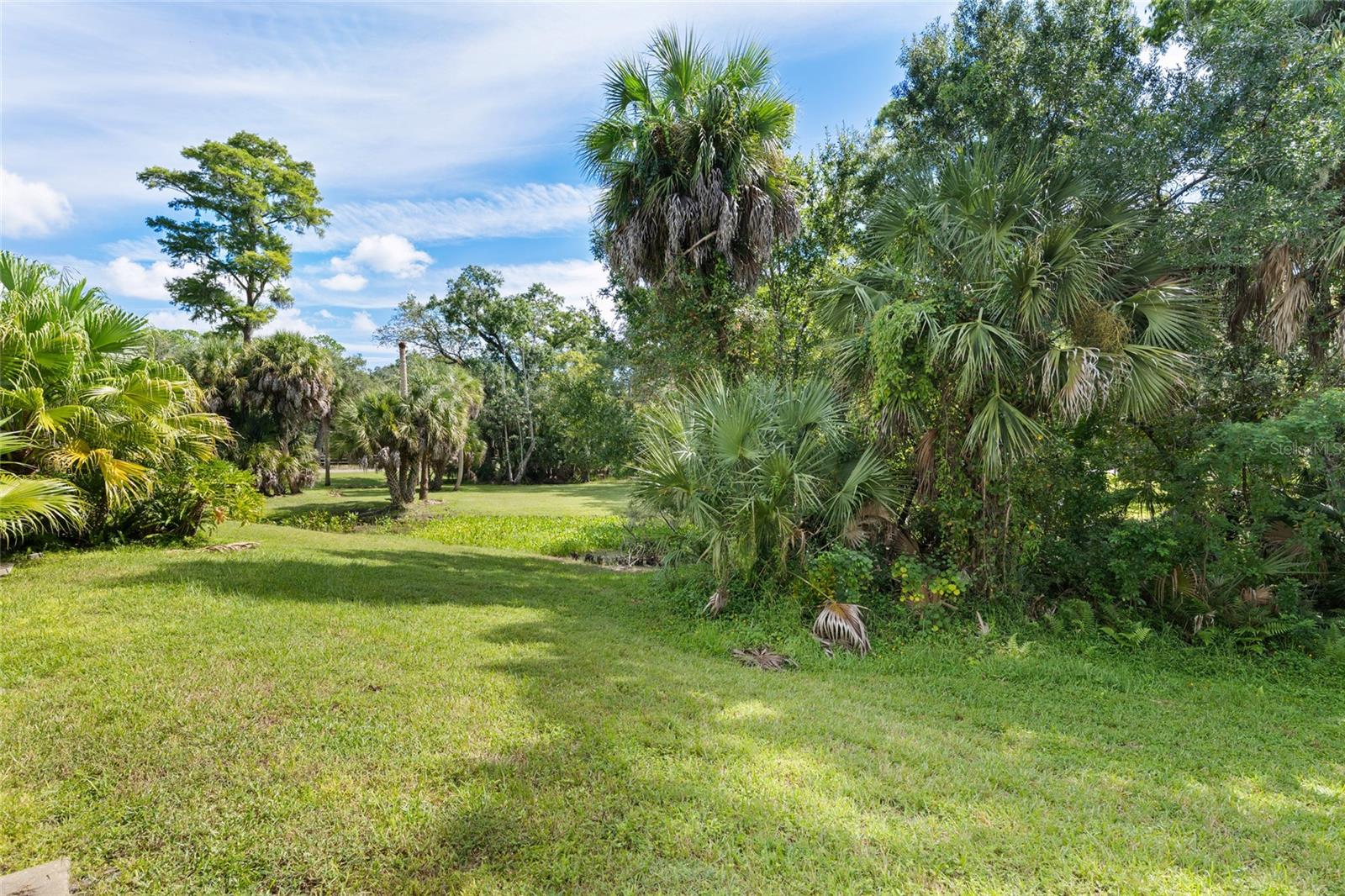 1200 TARPON WOODS BLVD #S4 — photo 21
