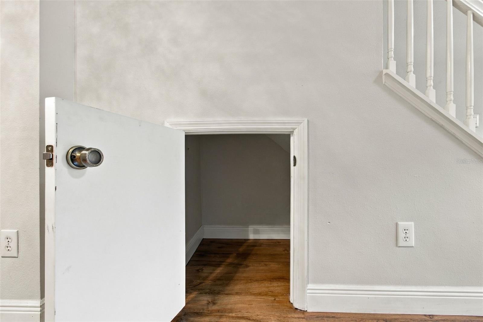 11232 WINDSOR PLACE CIR — photo 21