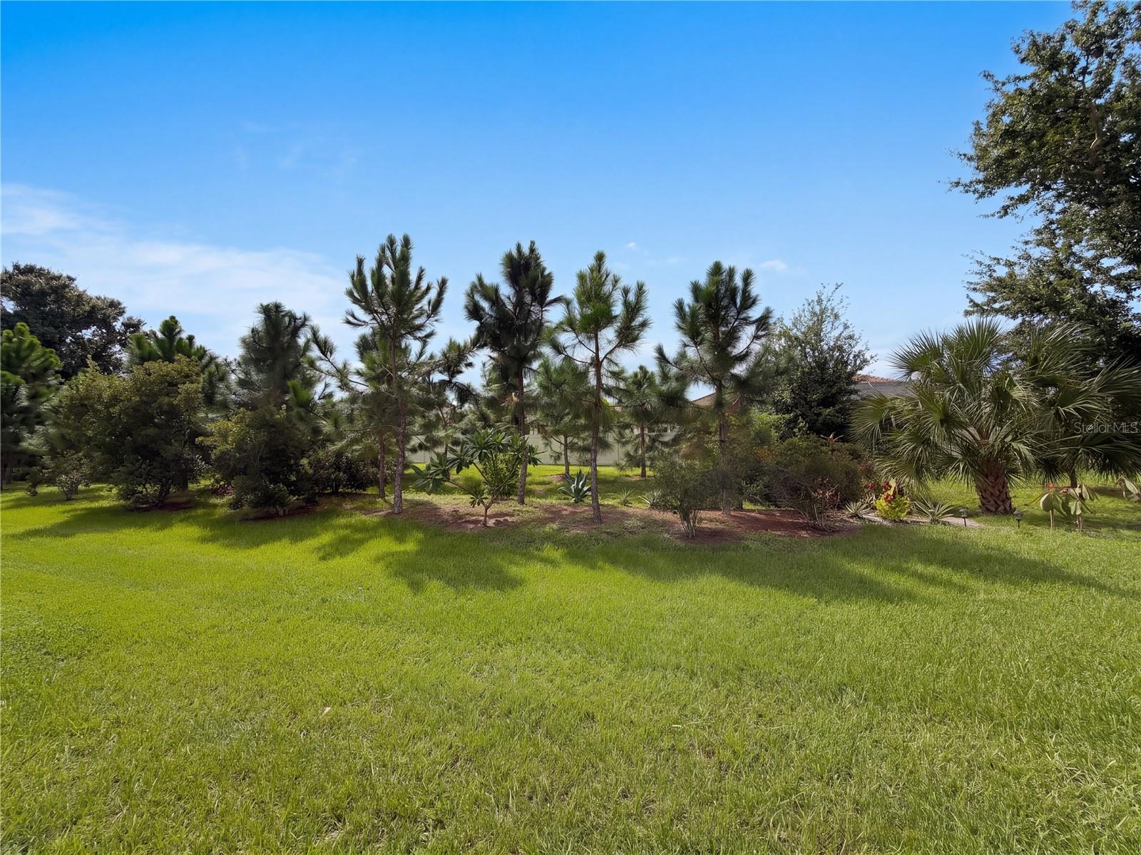 5319 STOIC VALE DR — photo 18