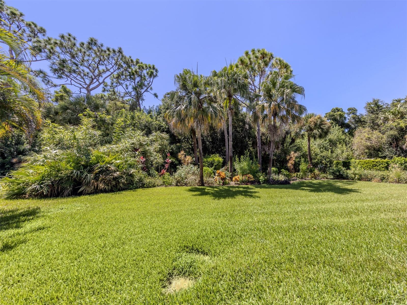 143 WAYFOREST DR — photo 9