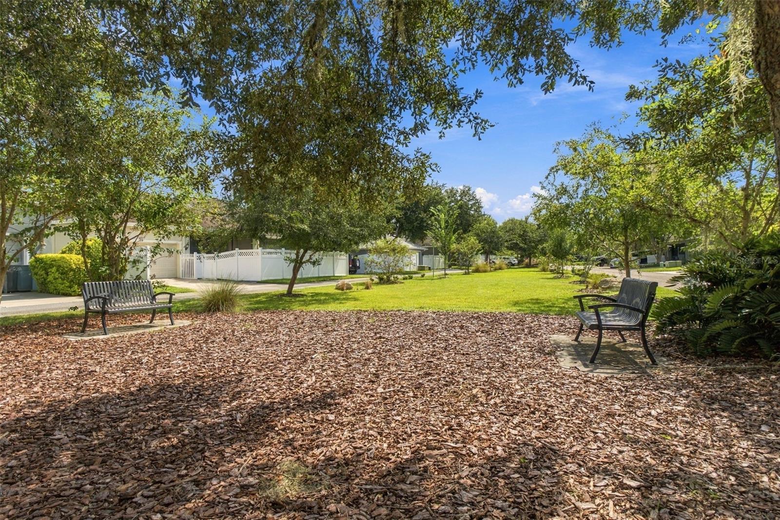 10643 MARSHA DR — photo 33
