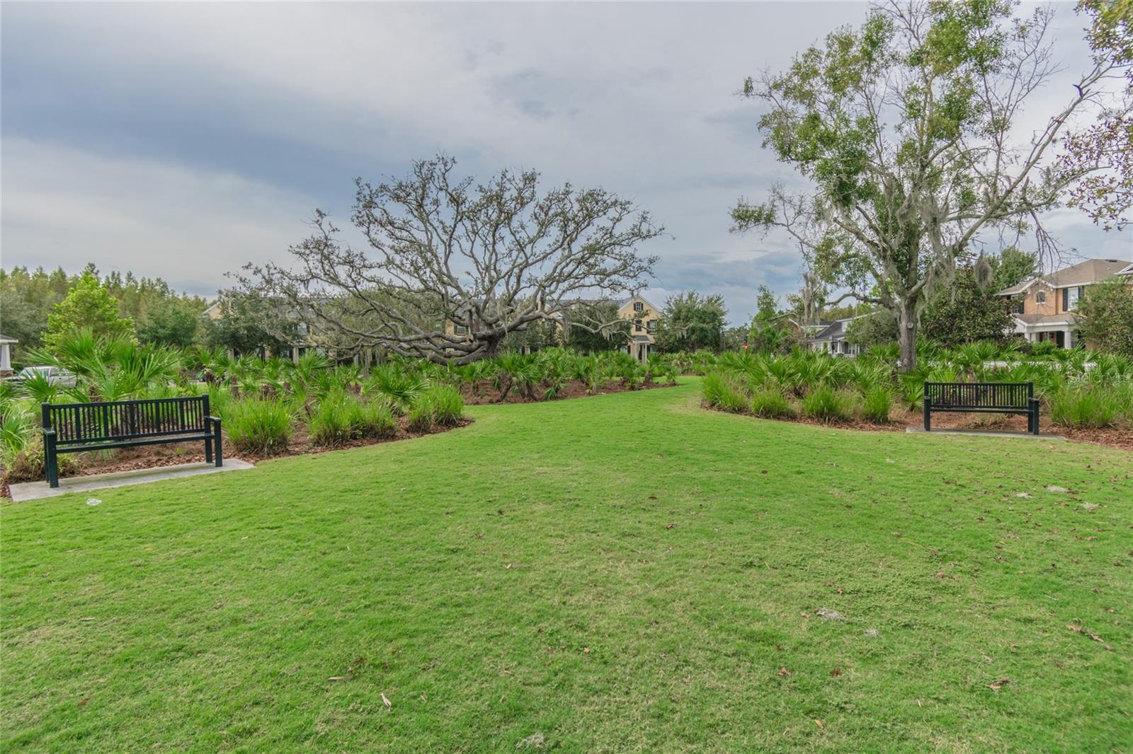 10643 MARSHA DR — photo 53