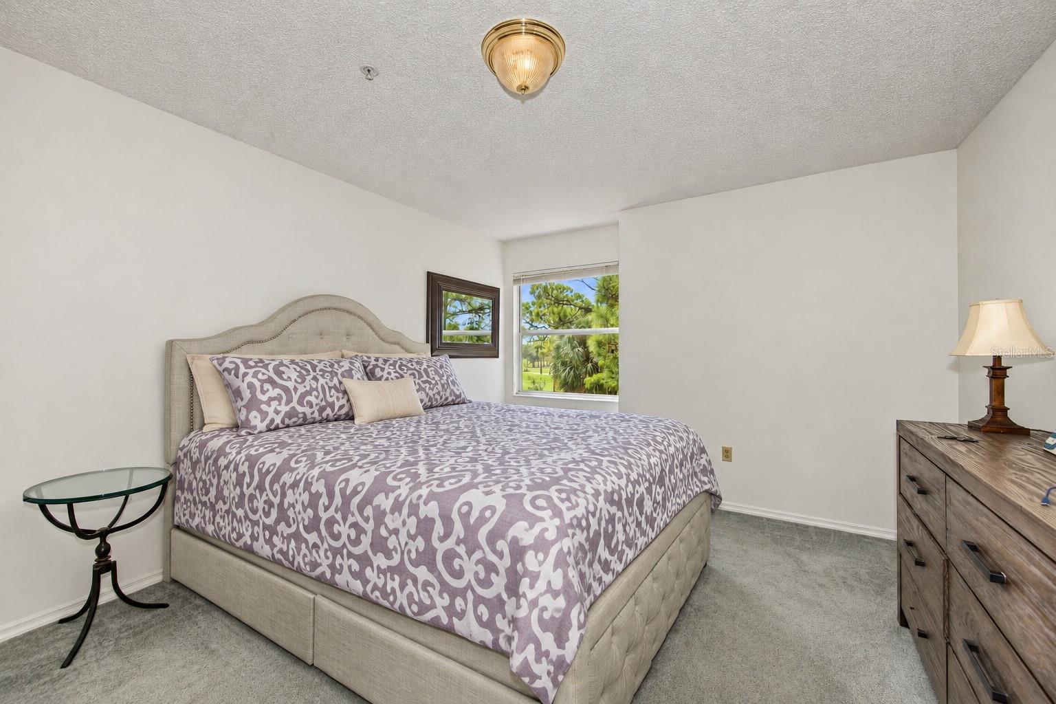 2400 FEATHER SOUND DR #123 — photo 8