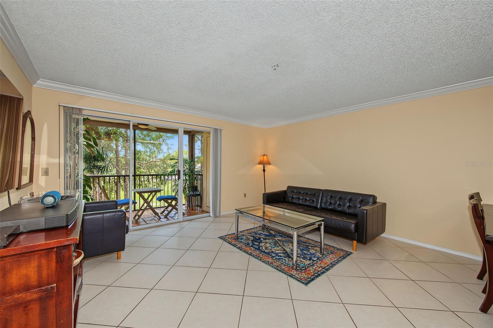 2400 FEATHER SOUND DR #123 — photo 4