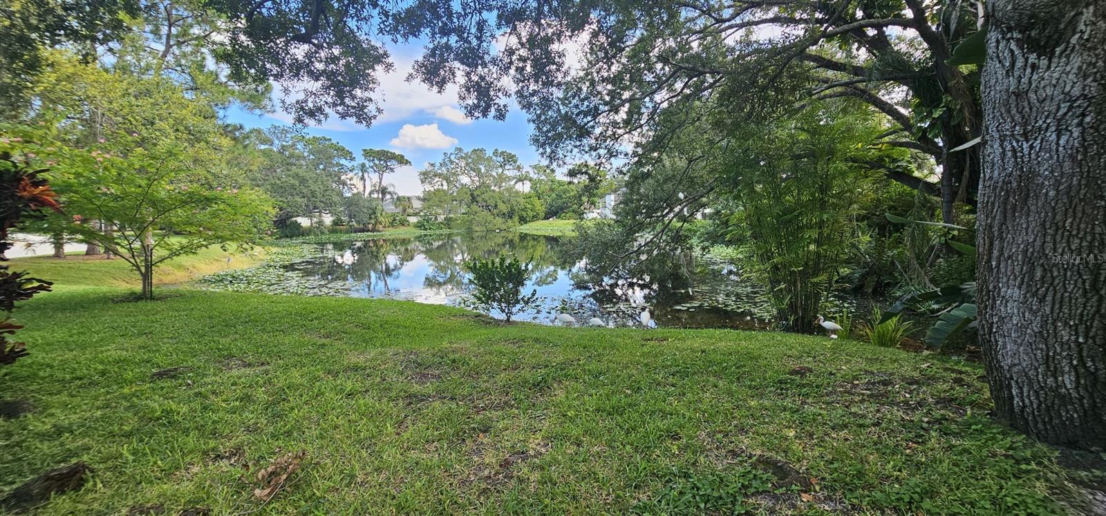 10495 LONGWOOD DR — photo 55